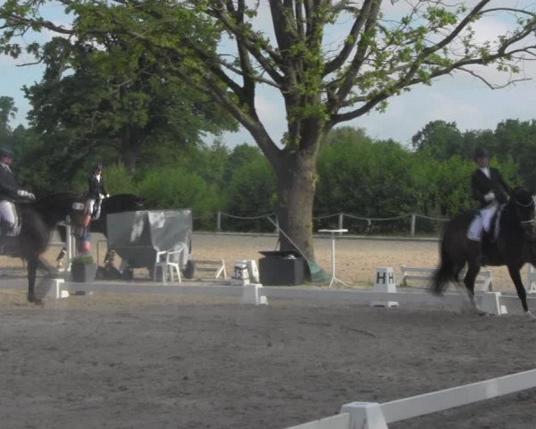 Reitturnier Handorf 2023