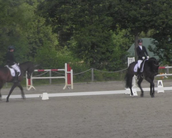 Reitturnier Handorf 2023