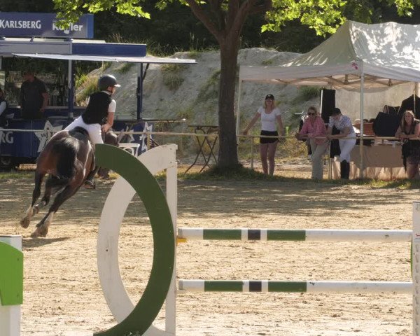 Reitturnier Heiligenwald 2023