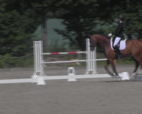 Reitturnier Handorf 2023