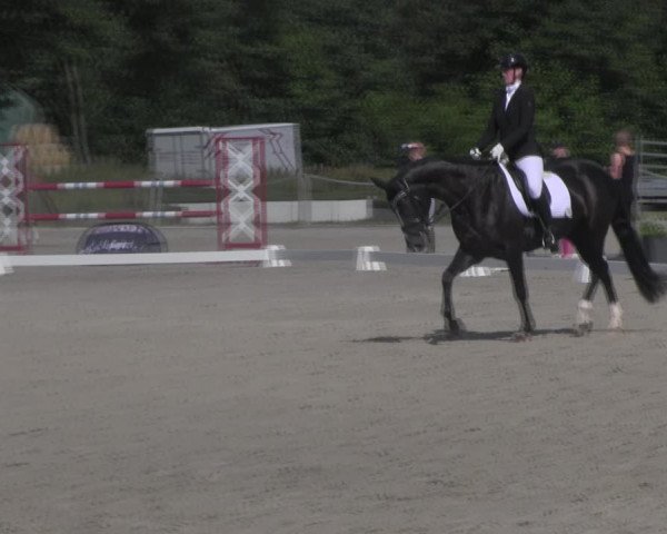 Reitturnier Handorf 2023