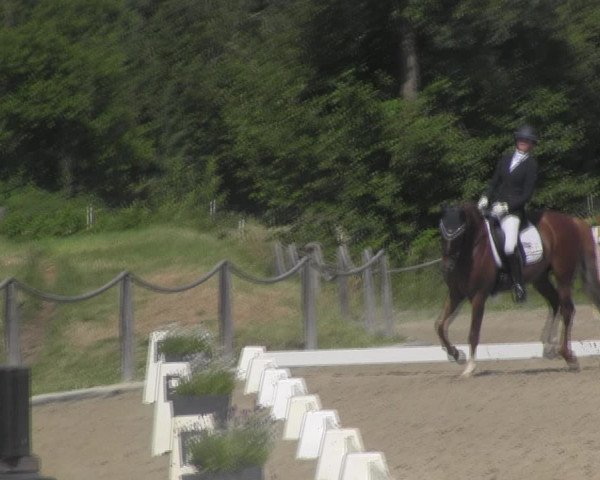 Reitturnier Handorf 2023