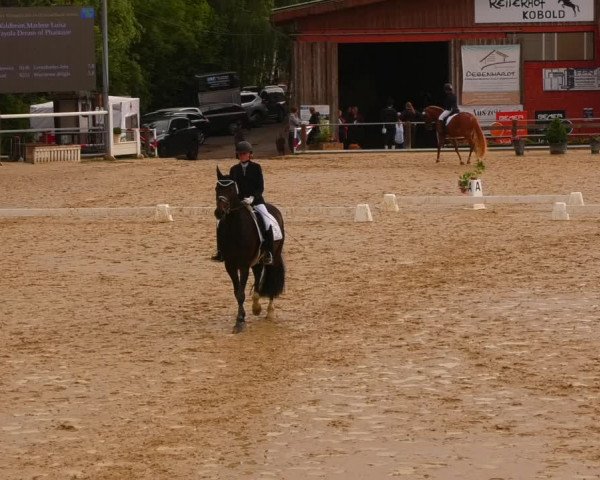 Reitturnier Uder, Reitanlage Kobold 2023