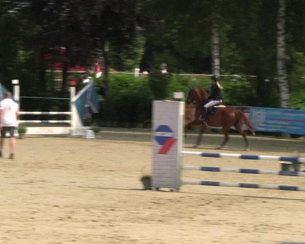 Reitturnier Schwerte 2023