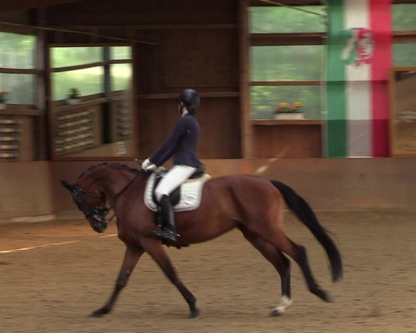 Reitturnier Schwerte 2023