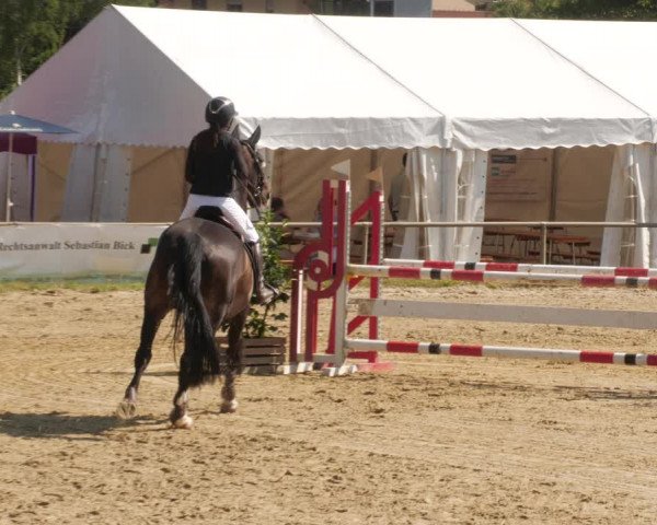 Reitturnier Heiligenwald 2023