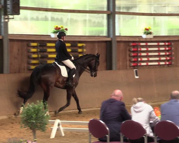 Reitturnier Schwerte 2023