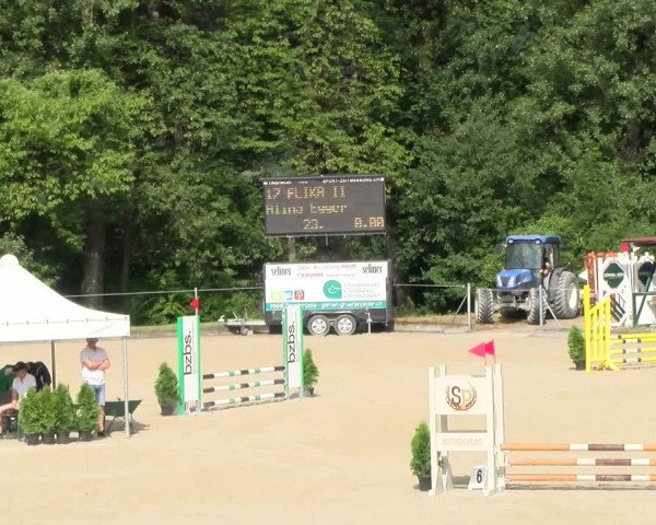 Reitturnier Maienfeld 2023