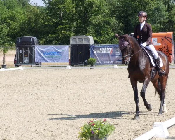 Reitturnier Heiligenwald 2023