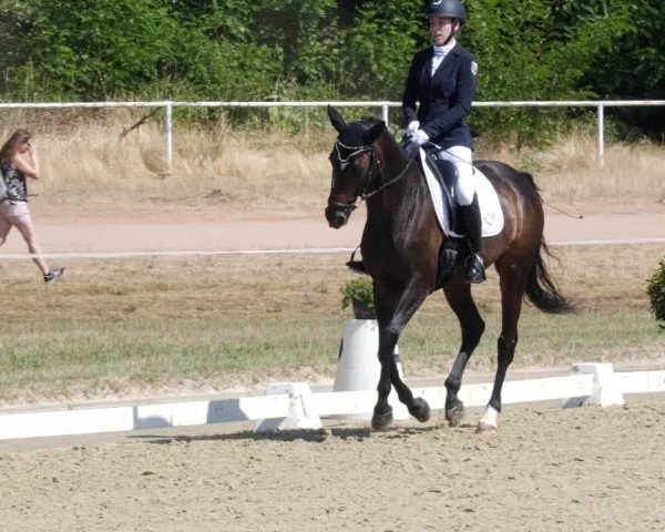 Reitturnier Heiligenwald 2023