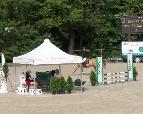 Reitturnier Maienfeld 2023
