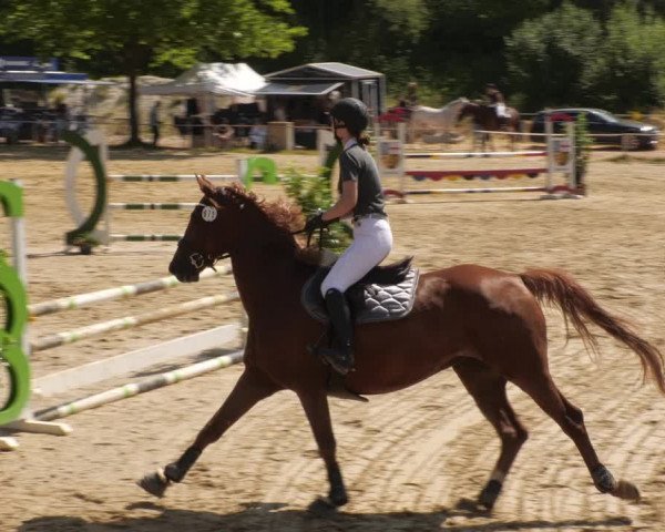 Reitturnier Heiligenwald 2023