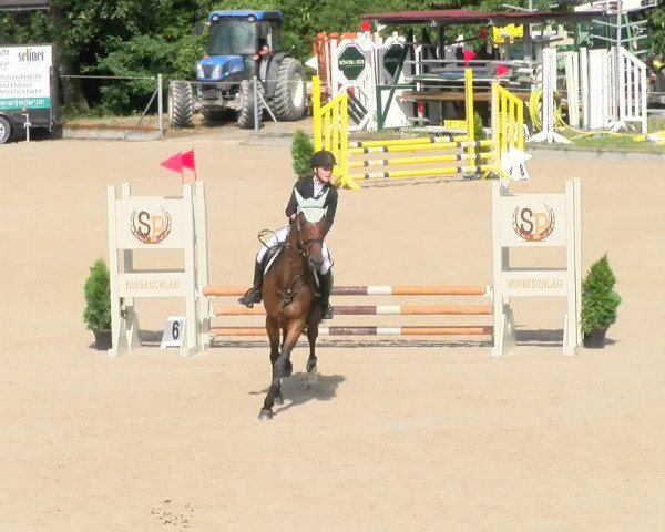 Reitturnier Maienfeld 2023