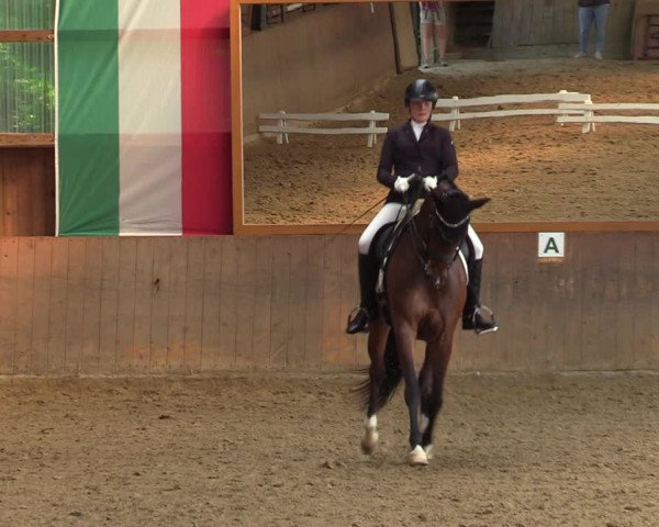 Reitturnier Schwerte 2023