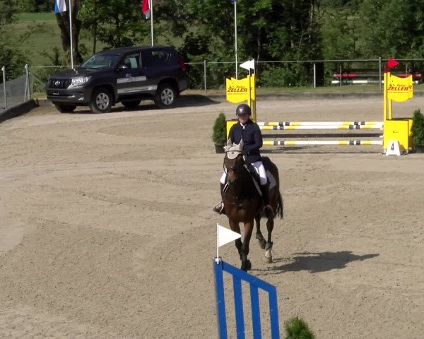 Reitturnier Maienfeld 2023