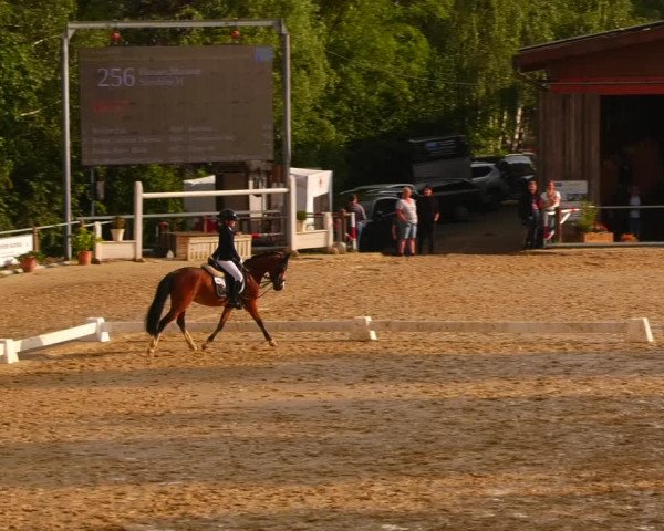 Reitturnier Uder, Reitanlage Kobold 2023