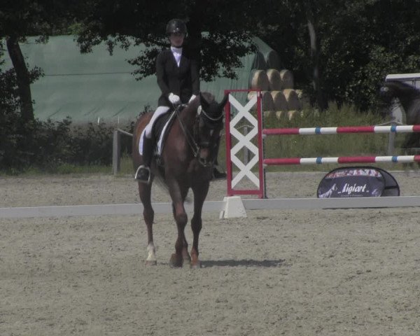 Reitturnier Handorf 2023