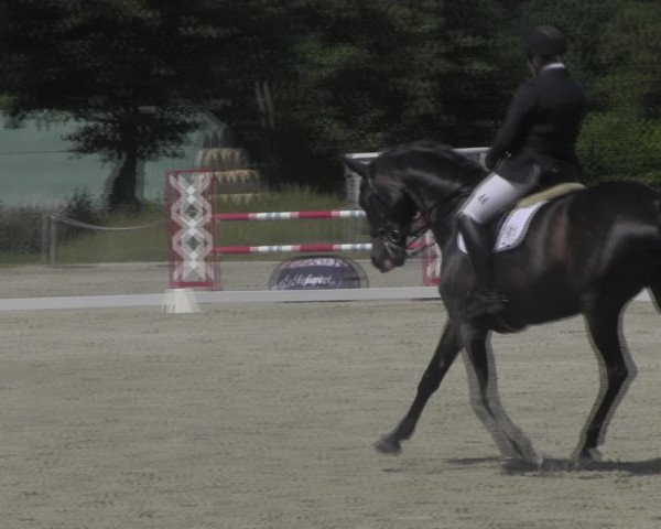 Reitturnier Handorf 2023