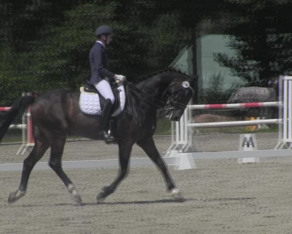Reitturnier Handorf 2023