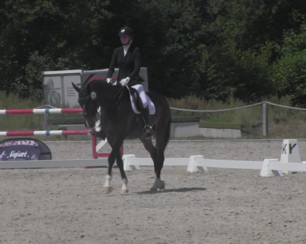 Reitturnier Handorf 2023