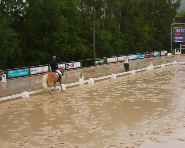 Reitturnier Uder, Reitanlage Kobold 2023