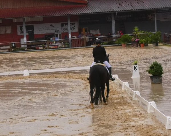 Reitturnier Uder, Reitanlage Kobold 2023
