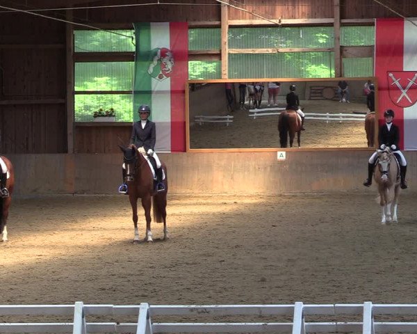Reitturnier Schwerte 2023