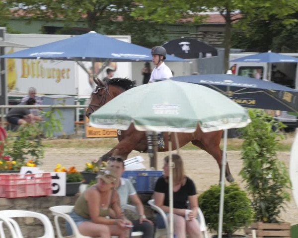 Reitturnier Heiligenwald 2023