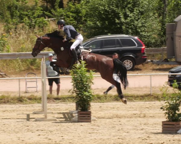 Reitturnier Heiligenwald 2023