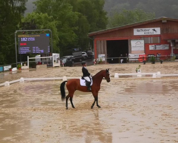 Reitturnier Uder, Reitanlage Kobold 2023