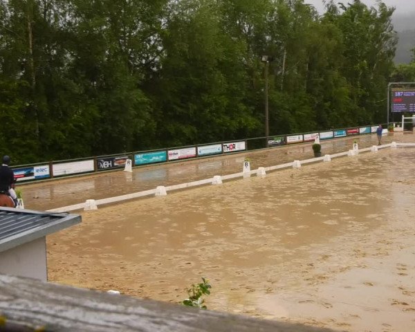 Reitturnier Uder, Reitanlage Kobold 2023