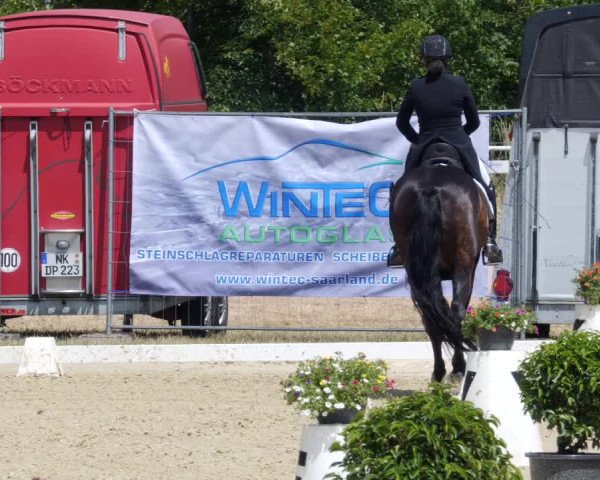 Reitturnier Heiligenwald 2023