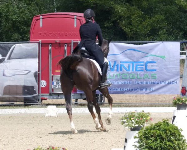 Reitturnier Heiligenwald 2023