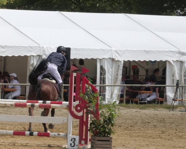 Reitturnier Heiligenwald 2023