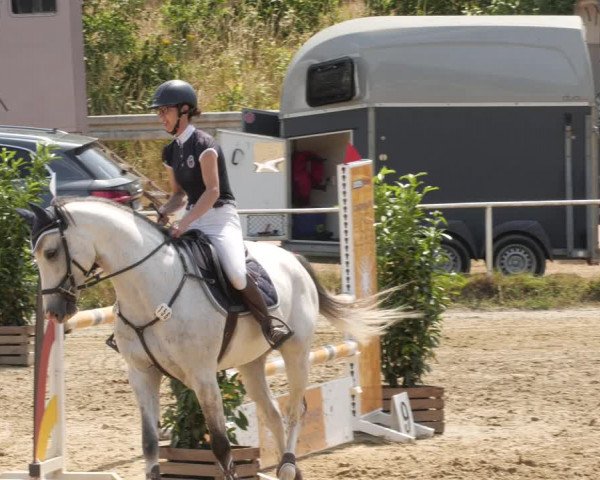Reitturnier Heiligenwald 2023