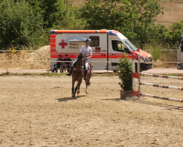 Reitturnier Heiligenwald 2023