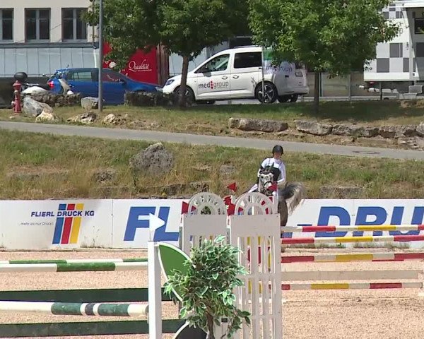 Reitturnier Kreuth/Opf. 2023