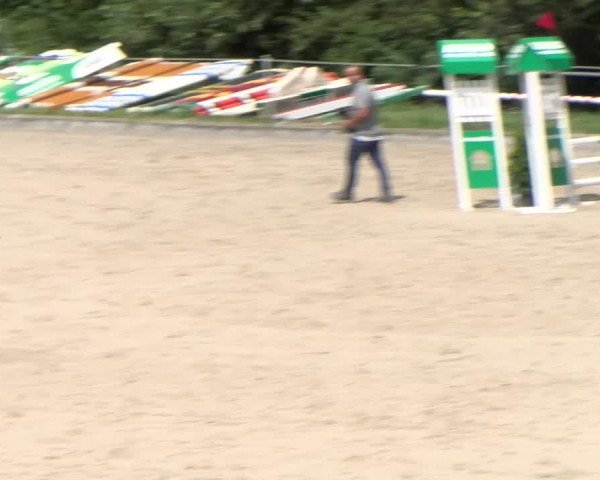 Reitturnier Maienfeld 2023