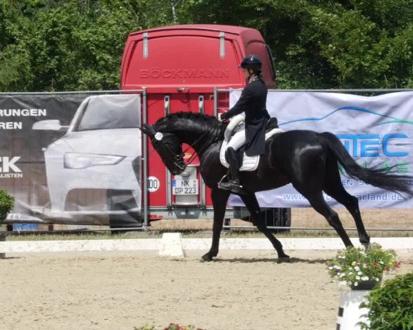 Reitturnier Heiligenwald 2023