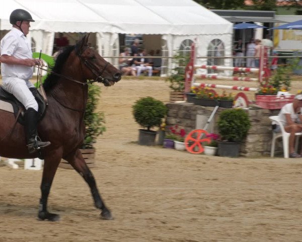Reitturnier Heiligenwald 2023