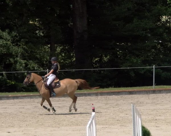 Reitturnier Maienfeld 2023