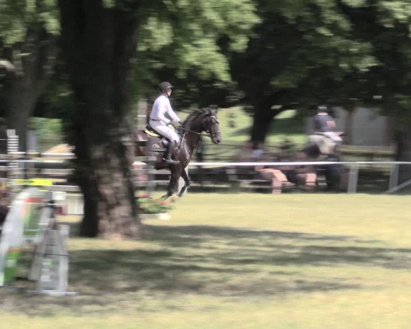 Reitturnier Schwittersdorf-Beesenstedt 2023