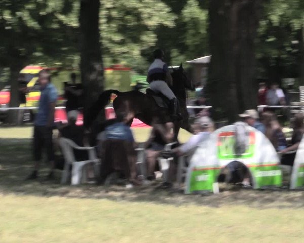 Reitturnier Schwittersdorf-Beesenstedt 2023