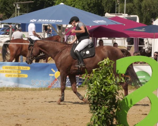 Reitturnier Heiligenwald 2023