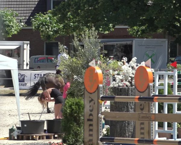 Rheinische Meisterschaften Langenfeld 2023