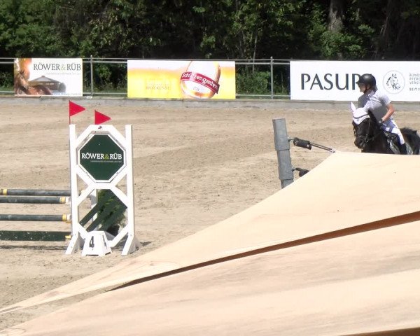 Reitturnier Maienfeld 2023