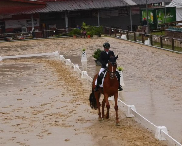 Reitturnier Uder, Reitanlage Kobold 2023