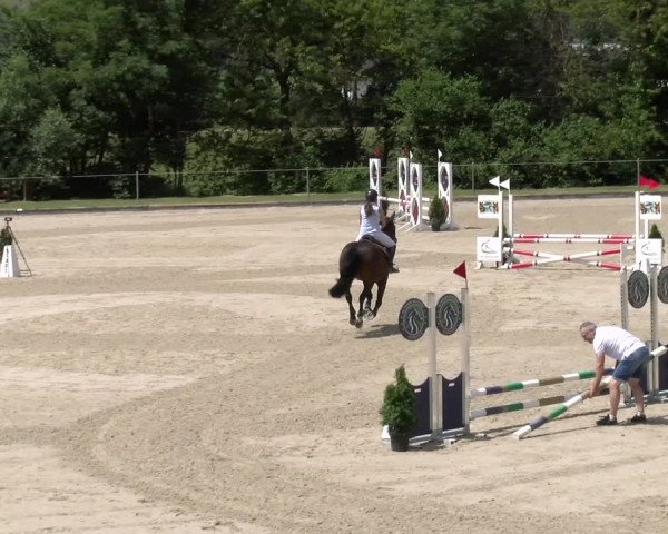 Reitturnier Maienfeld 2023