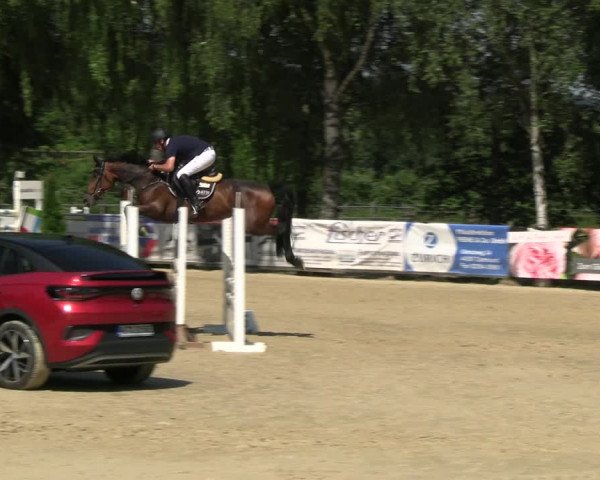 Reitturnier Schwerte 2023