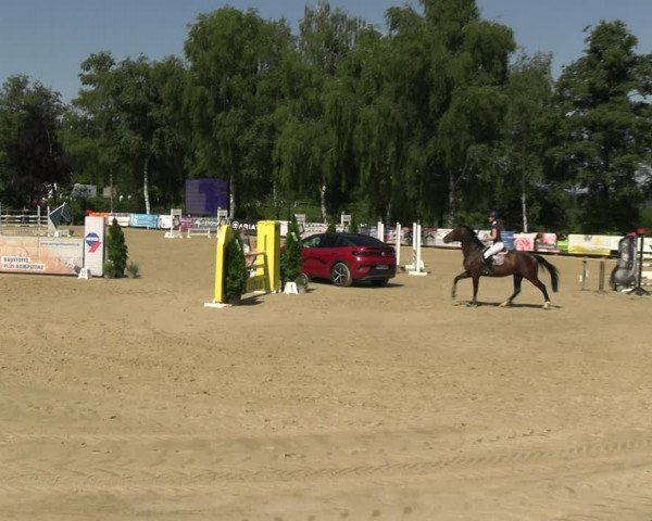 Reitturnier Schwerte 2023
